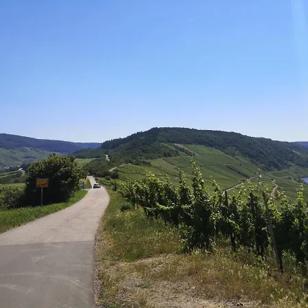 Casa Mosella דירה אנקירך