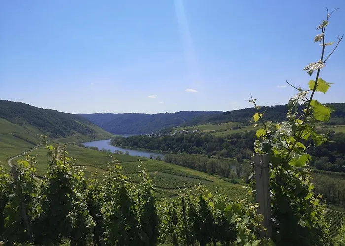 Casa Mosella Apartamento *